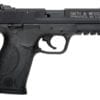 smith wesson m&p22 compact pistol 22lr at nagels