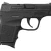 smith wesson bodyguard 380 at nagels