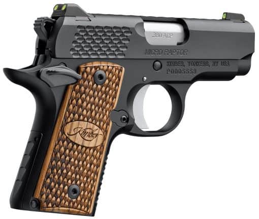 kimber micro raptor 380acp pistol