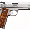 kimber stainless raptor ii 9mm pistol