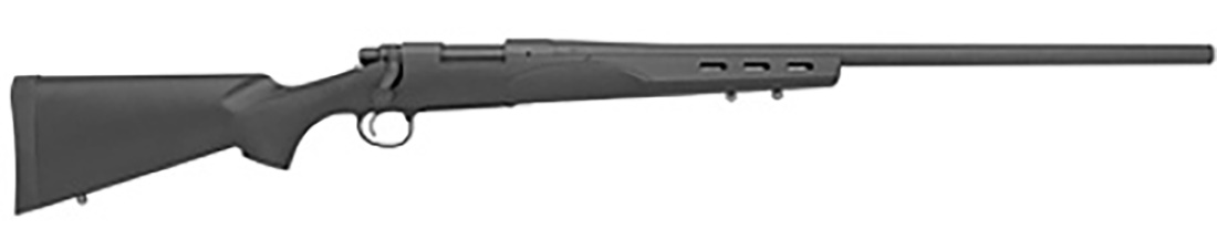 remington 700 sps varmint