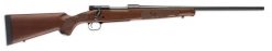 winchester model 70 featherweight compact 243