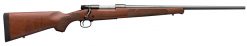 winchester model 70 featherweight 243