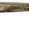 browning x-bolt hells canyon speed 300