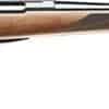 tikka t3 forest in 22-250 at nagels