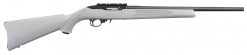 ruger 10/22 carbine gray