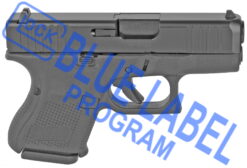 glock 25 gen5 blue label