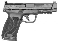smith & wesson m&p 10mm M2.0 4.6"