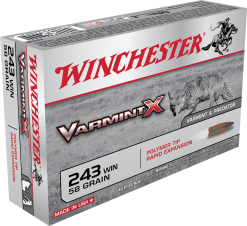 winchester 243 polymer x