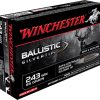 winchester 243 ballistic tip