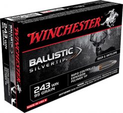 winchester 243 ballistic tip