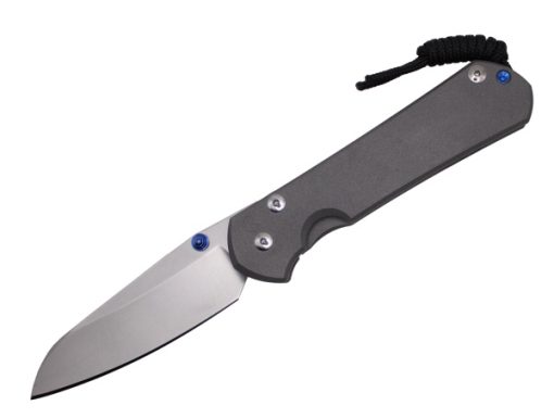 Chris Reeve Knives Large Sebenza 31 Plain Insingo L31-1008